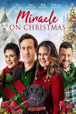 Watch Miracle on Christmas Online Free and No Sign Up - 285 HDMovie