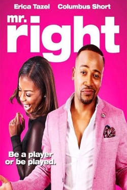 Watch Mr. Right Online Free and No Sign Up - 285 HDMovie