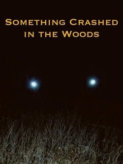 Watch Something Crashed in the Woods Online Free and No Sign Up - 285 HDMovie