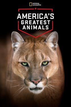 Watch America's Greatest Animals Online Free and No Sign Up - 285 HDMovie