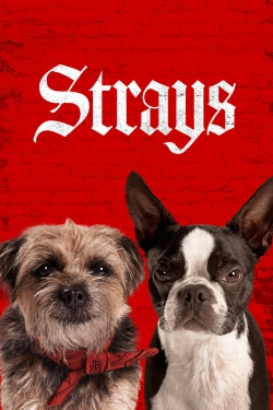 Watch Strays Online Free and No Sign Up - 285 HDMovie