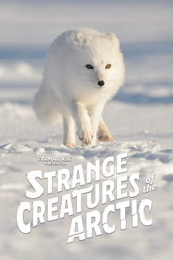 Watch Strange Creatures of the Arctic Online Free and No Sign Up - 285 HDMovie