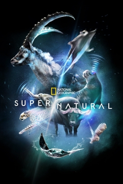 Watch Super/Natural Online Free and No Sign Up - 285 HDMovie