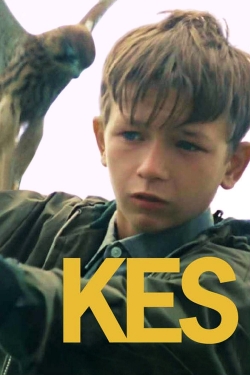 Watch Kes Online Free and No Sign Up - 285 HDMovie