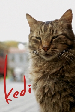 Watch Kedi Online Free and No Sign Up - 285 HDMovie