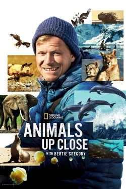 Watch Animals Up Close with Bertie Gregory Online Free and No Sign Up - 285 HDMovie