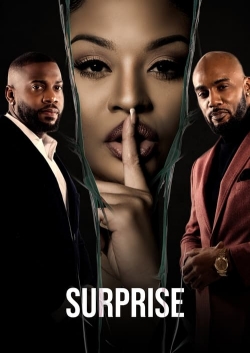 Watch Surprise Online Free and No Sign Up - 285 HDMovie