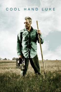 Watch Cool Hand Luke Online Free and No Sign Up - 285 HDMovie