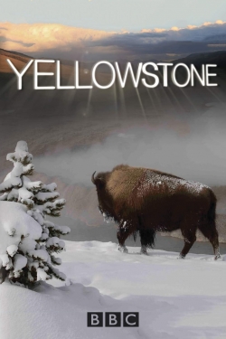 Watch Yellowstone Online Free and No Sign Up - 285 HDMovie