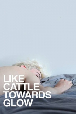 Watch Like Cattle Towards Glow Online Free and No Sign Up - 285 HDMovie