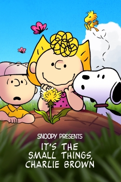 Watch Snoopy Presents: It’s the Small Things, Charlie Brown Online Free and No Sign Up - 285 HDMovie