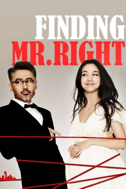 Watch Finding Mr. Right Online Free and No Sign Up - 285 HDMovie