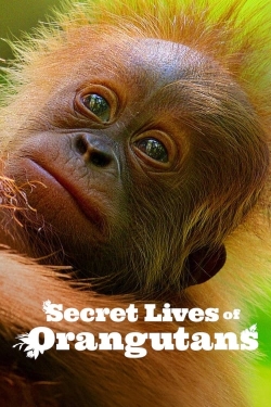 Watch Secret Lives of Orangutans Online Free and No Sign Up - 285 HDMovie