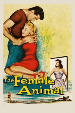 Watch The Female Animal Online Free and No Sign Up - 285 HDMovie