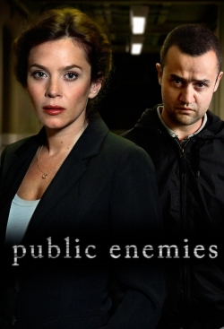 Watch Public Enemies Online Free and No Sign Up - 285 HDMovie