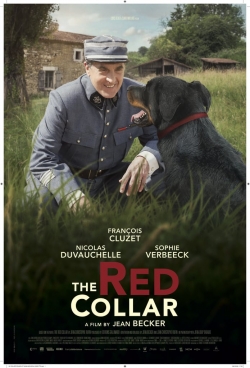 Watch The Red Collar Online Free and No Sign Up - 285 HDMovie