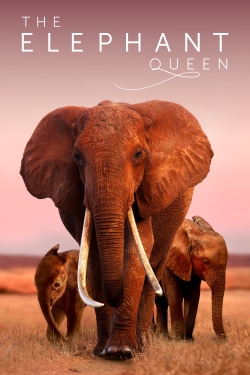 Watch The Elephant Queen Online Free and No Sign Up - 285 HDMovie