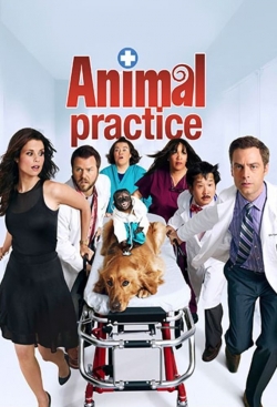 Watch Animal Practice Online Free and No Sign Up - 285 HDMovie