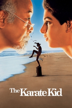 Watch The Karate Kid Online Free and No Sign Up - 285 HDMovie