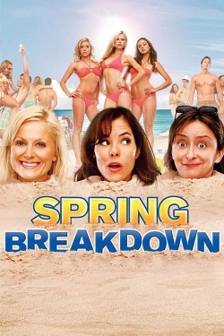 Watch Spring Breakdown Online Free and No Sign Up - 285 HDMovie