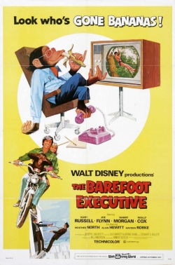 Watch The Barefoot Executive Online Free and No Sign Up - 285 HDMovie