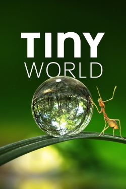 Watch Tiny World Online Free and No Sign Up - 285 HDMovie