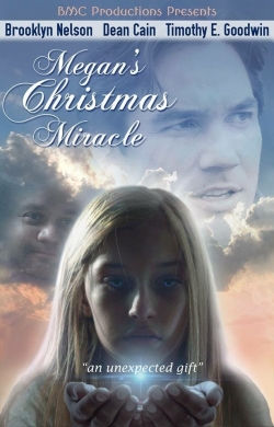 Watch Megan's Christmas Miracle Online Free and No Sign Up - 285 HDMovie