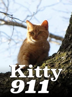 Watch Kitty 911 Online Free and No Sign Up - 285 HDMovie