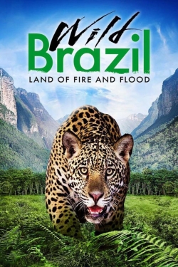 Watch Wild Brazil Online Free and No Sign Up - 285 HDMovie