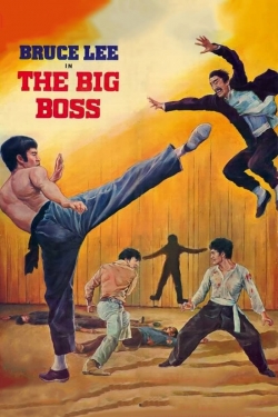 Watch The Big Boss Online Free and No Sign Up - 285 HDMovie