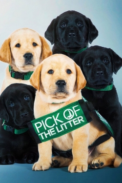 Watch Pick of the Litter Online Free and No Sign Up - 285 HDMovie